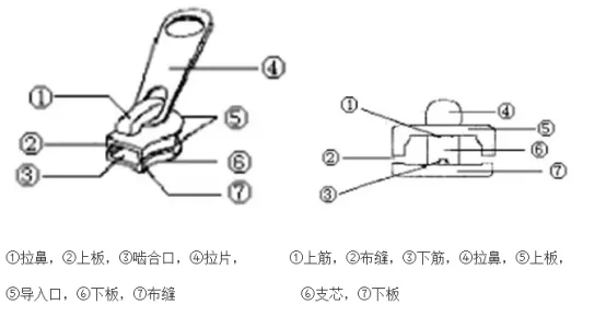 Detailed diagram illustrating the components of a zipper, with parts labeled in sequential order for clarity and understanding.