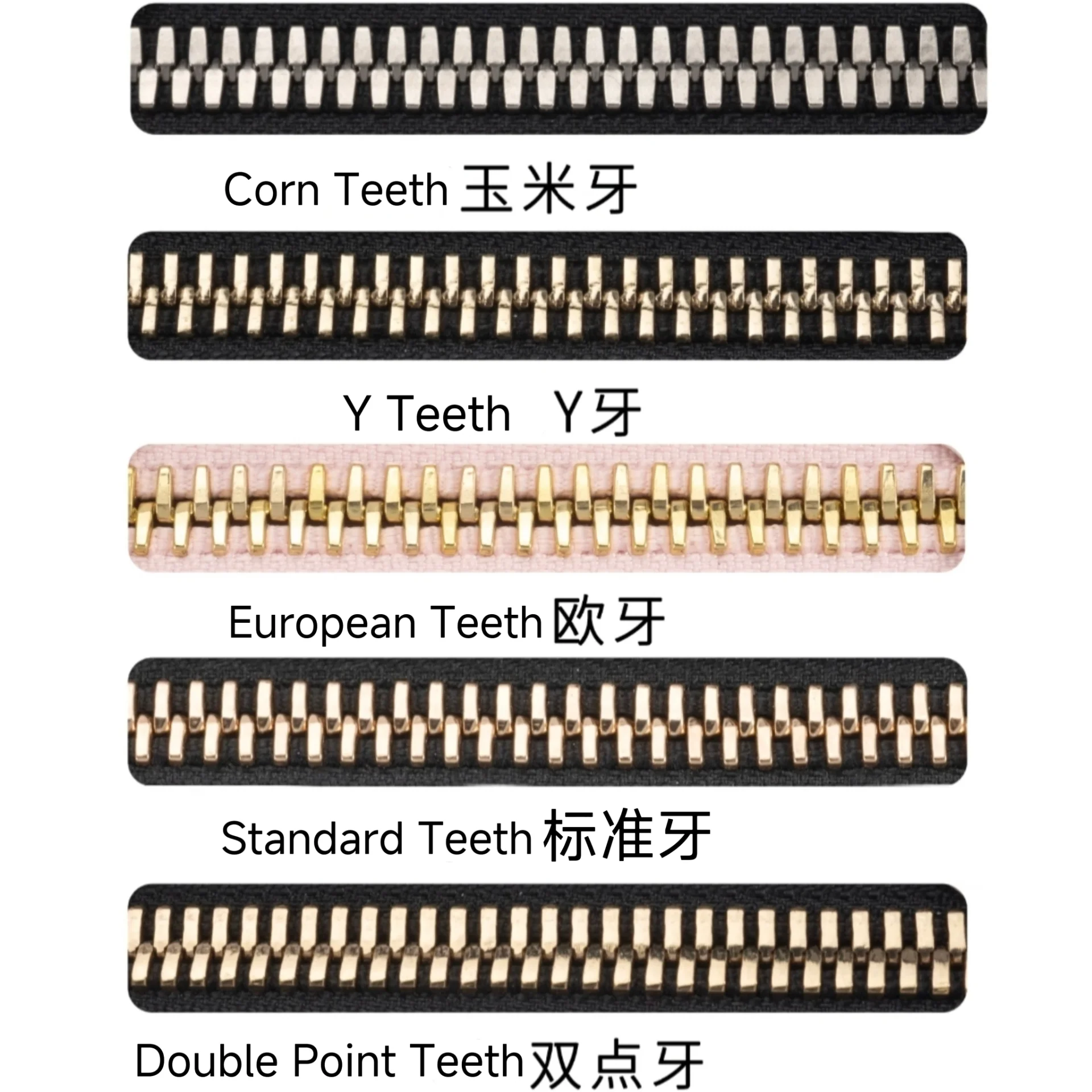 Five types of zipper teeth: corn, Y, European, standard, and double point, displayed with their respective descriptions.